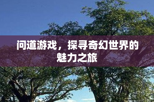 问道游戏,探寻奇幻世界的魅力之旅 问道游戏,探寻奇幻世界的魅力之旅