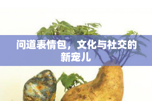 问道表情包,文化与社交的新宠儿 问道表情包,文化与社交的新宠儿