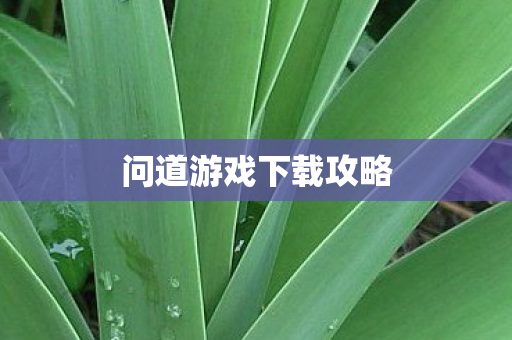 问道游戏下载攻略 问道游戏下载攻略