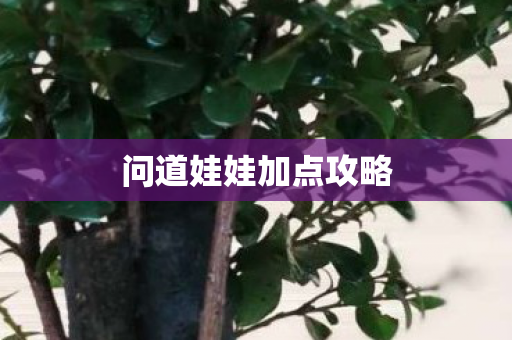 问道娃娃加点攻略 问道娃娃加点攻略