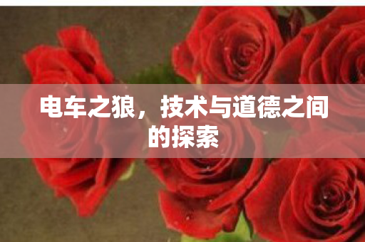 电车之狼,技术与道德之间的探索 电车之狼,技术与道德之间的探索