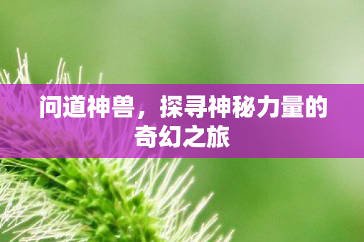 问道神兽,探寻神秘力量的奇幻之旅 问道神兽,探寻神秘力量的奇幻之旅