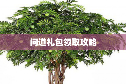 问道礼包领取攻略 问道礼包领取攻略