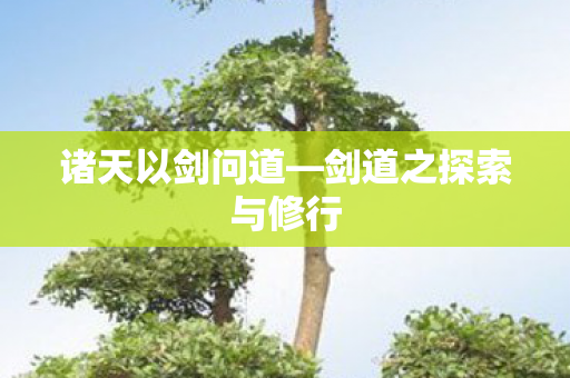 诸天以剑问道—剑道之探索与修行 诸天以剑问道—剑道之探索与修行