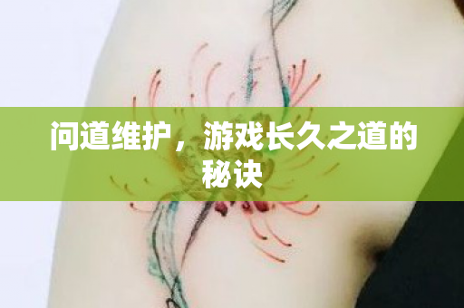 问道维护,游戏长久之道的秘诀 问道维护,游戏长久之道的秘诀