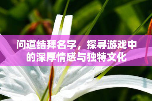 问道结拜名字，探寻游戏中的深厚情感与独特文化