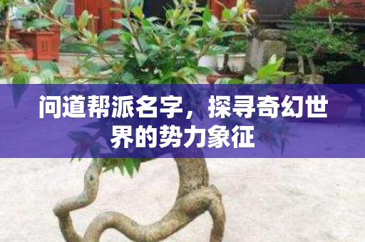 问道帮派名字，探寻奇幻世界的势力象征