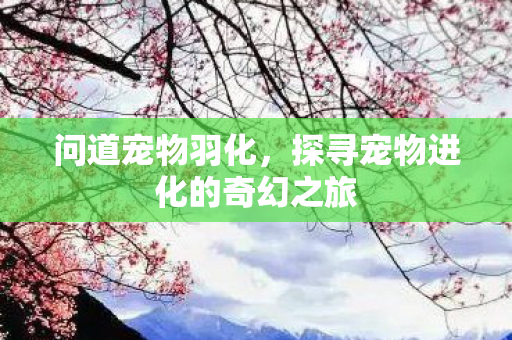 问道宠物羽化,探寻宠物进化的奇幻之旅 问道宠物羽化,探寻宠物进化的奇幻之旅