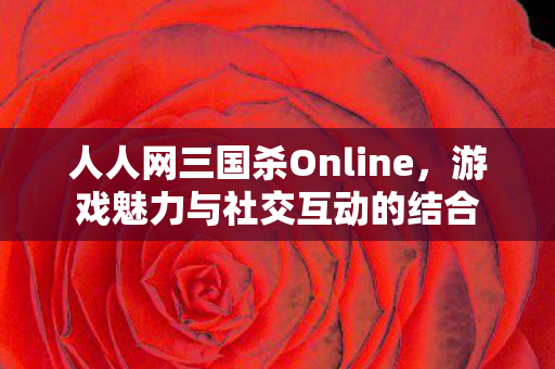 人人网三国杀Online,游戏魅力与社交互动的结合 人人网三国杀Online,游戏魅力与社交互动的结合