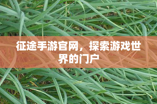 征途手游官网，探索游戏世界的门户