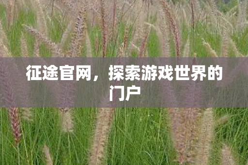 征途官网,探索游戏世界的门户 征途官网,探索游戏世界的门户