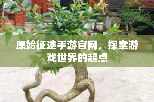 原始征途手游官网,探索游戏世界的起点 原始征途手游官网,探索游戏世界的起点