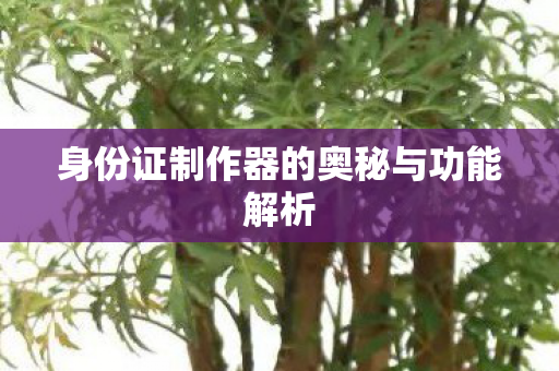 身份证制作器的奥秘与功能解析