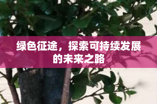 绿色征途,探索可持续发展的未来之路 绿色征途,探索可持续发展的未来之路