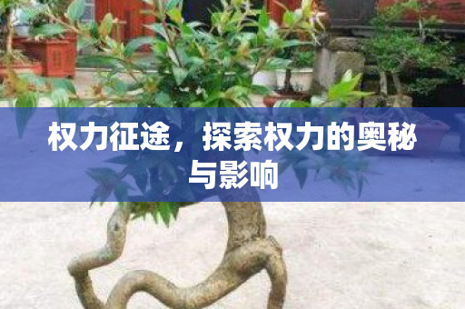 权力征途,探索权力的奥秘与影响 权力征途,探索权力的奥秘与影响