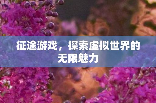 征途游戏，探索虚拟世界的无限魅力