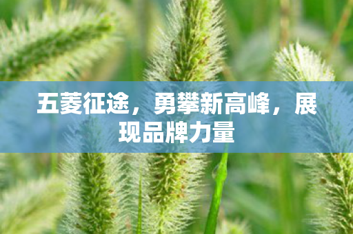 五菱征途,勇攀新高峰,展现品牌力量 五菱征途,勇攀新高峰,展现品牌力量