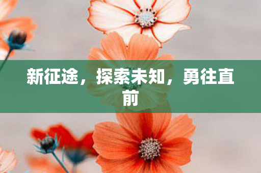新征途，探索未知，勇往直前
