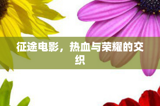 征途电影,热血与荣耀的交织 征途电影,热血与荣耀的交织