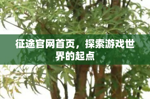 征途官网首页，探索游戏世界的起点