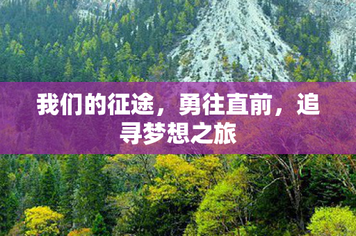 我们的征途,勇往直前,追寻梦想之旅 我们的征途,勇往直前,追寻梦想之旅