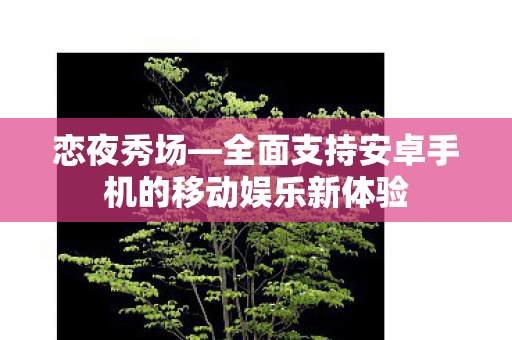 恋夜秀场—全面支持安卓手机的移动娱乐新体验 恋夜秀场—全面支持安卓手机的移动娱乐新体验