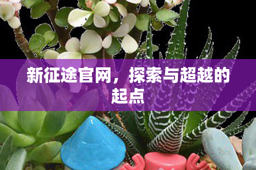 新征途官网,探索与超越的起点 新征途官网,探索与超越的起点