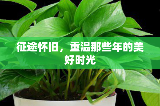 征途怀旧,重温那些年的美好时光 征途怀旧,重温那些年的美好时光