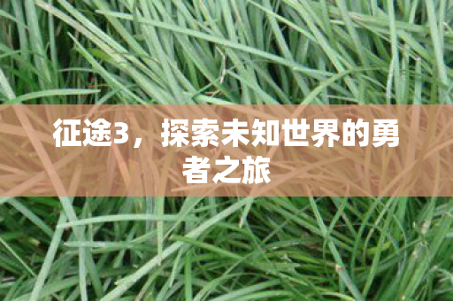 征途3,探索未知世界的勇者之旅 征途3,探索未知世界的勇者之旅