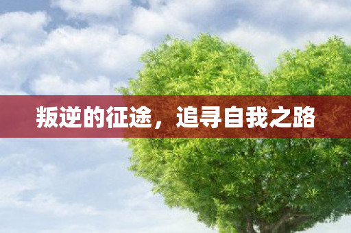 叛逆的征途,追寻自我之路 叛逆的征途,追寻自我之路