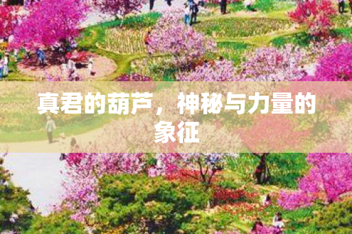 真君的葫芦,神秘与力量的象征 真君的葫芦,神秘与力量的象征
