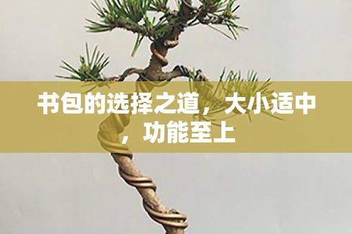 书包的选择之道，大小适中，功能至上