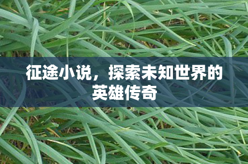 征途小说,探索未知世界的英雄传奇 征途小说,探索未知世界的英雄传奇