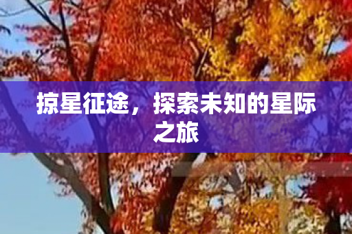 掠星征途，探索未知的星际之旅