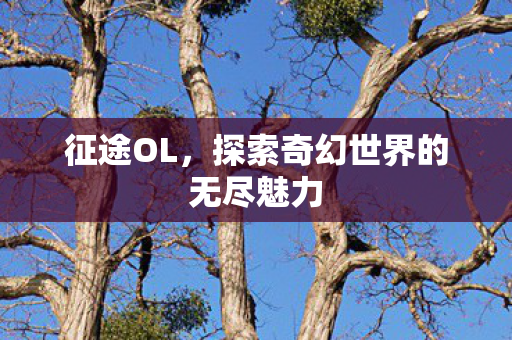 征途OL,探索奇幻世界的无尽魅力 征途OL,探索奇幻世界的无尽魅力