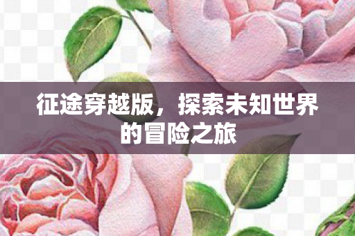 征途穿越版，探索未知世界的冒险之旅