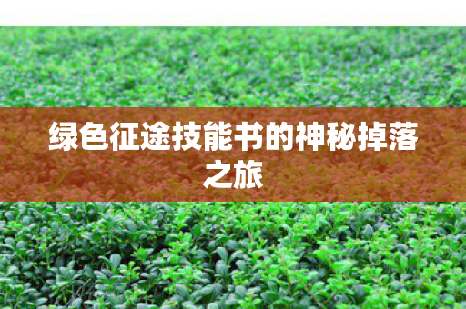 绿色征途技能书的神秘掉落之旅