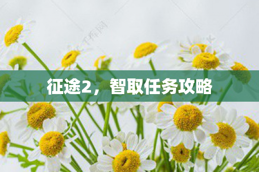 征途2,智取任务攻略 征途2,智取任务攻略