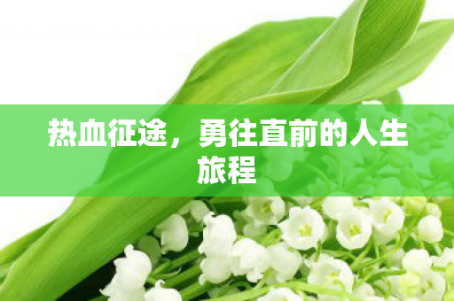 热血征途,勇往直前的人生旅程 热血征途,勇往直前的人生旅程
