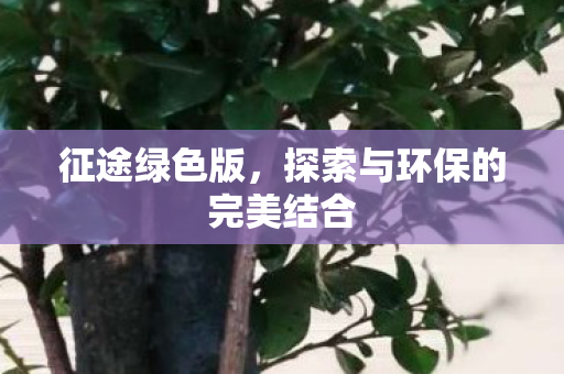 征途绿色版,探索与环保的完美结合 征途绿色版,探索与环保的完美结合