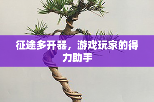 征途多开器,游戏玩家的得力助手 征途多开器,游戏玩家的得力助手