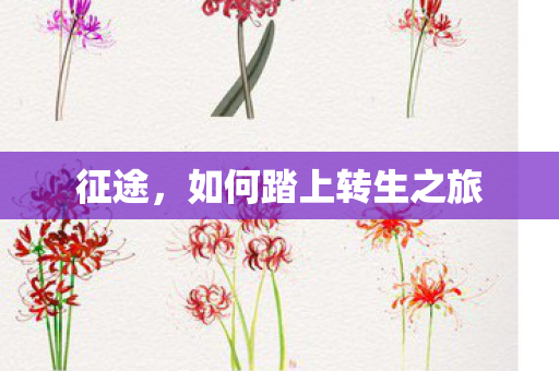 征途,如何踏上转生之旅 征途,如何踏上转生之旅
