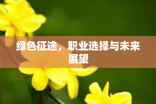 绿色征途,职业选择与未来展望 绿色征途,职业选择与未来展望