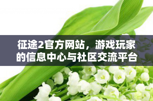 征途2官方网站,游戏玩家的信息中心与社区交流平台 征途2官方网站,游戏玩家的信息中心与社区交流平台