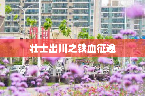 壮士出川之铁血征途 壮士出川之铁血征途