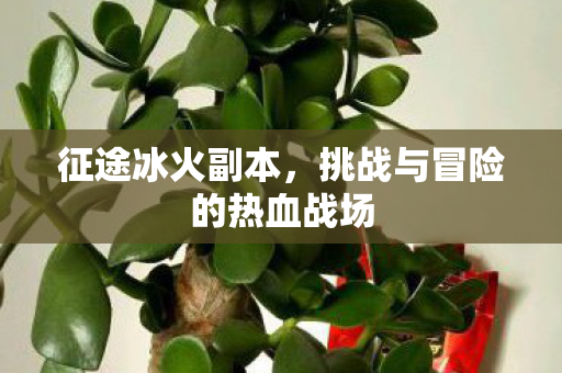 征途冰火副本,挑战与冒险的热血战场 征途冰火副本,挑战与冒险的热血战场