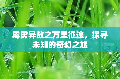 霹雳异数之万里征途,探寻未知的奇幻之旅 霹雳异数之万里征途,探寻未知的奇幻之旅