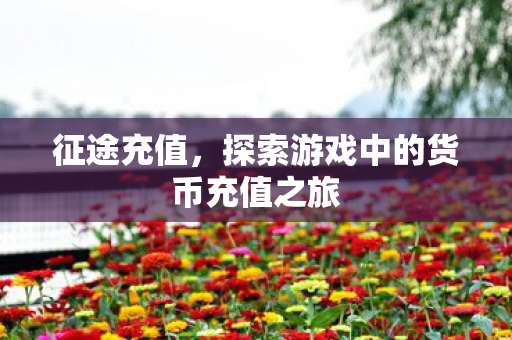 征途充值,探索游戏中的货币充值之旅 征途充值,探索游戏中的货币充值之旅