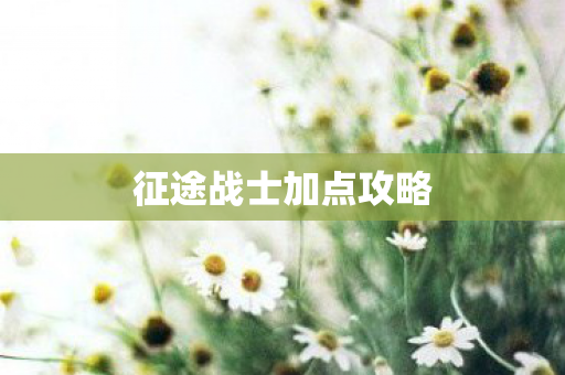 征途战士加点攻略 征途战士加点攻略