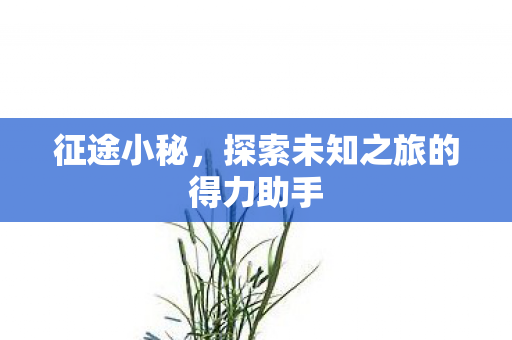 征途小秘,探索未知之旅的得力助手 征途小秘,探索未知之旅的得力助手